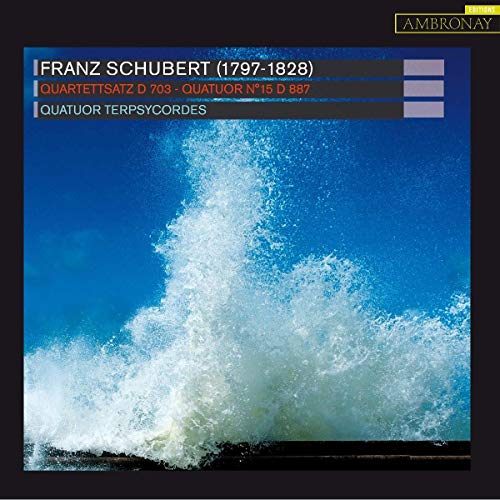 QUATUOR TERPSYCORDES - FRANZ SCHUBERT  QUARTETTSATZ - CD image 1