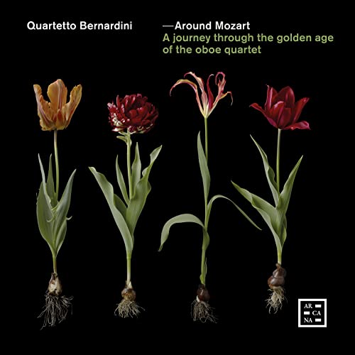 QUARTETTO BERNARDINI - AROUND MOZART. A JOURNEY THROU - CD image 1