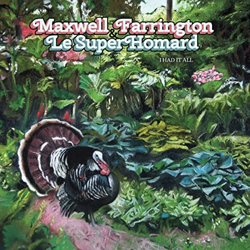 FARRINGTON MAXWELL & - I HAD IT ALL - CD image 1
