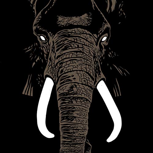 Palm Unit - Dont Buy Ivory Anymore! - Vinyl Record 12 Album (Limited E image 1