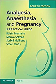 Analgesia, Anaesthesia and Pregnancy : A Practical Guide