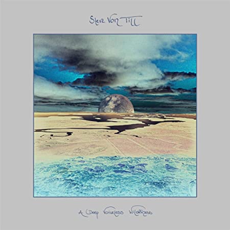 STEVE VON TILL - A DEEP VOICELESS WILDERNESS - cd image 1