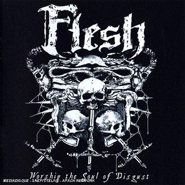 FLESH - WORSHIP THE SOUL OF DISGUST - CD image 1