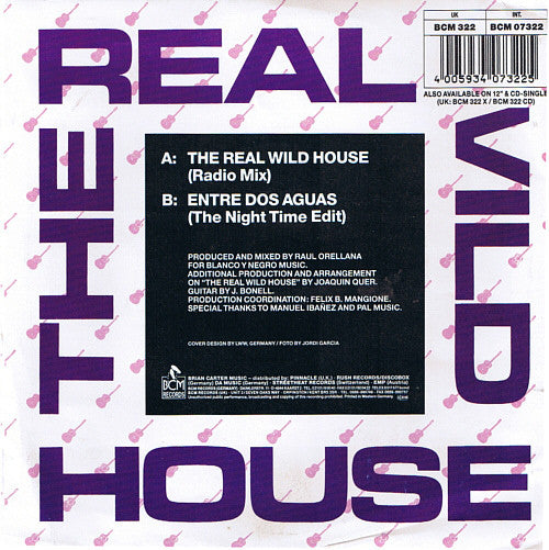 Raúl Orellana - Real Wild House - Used Vinyl Record 7" image 2