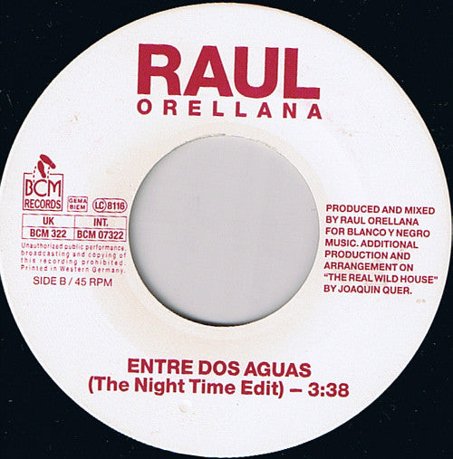 Raúl Orellana - Real Wild House - Used Vinyl Record 7" image 4