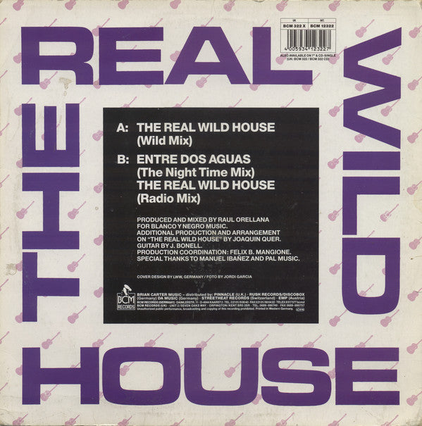 Raúl Orellana - Real Wild House - Used Vinyl Record 12" image 2