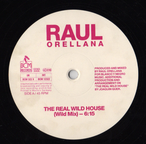 Raúl Orellana - Real Wild House - Used Vinyl Record 12" image 3