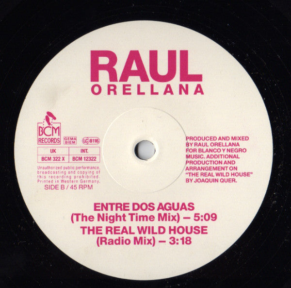 Raúl Orellana - Real Wild House - Used Vinyl Record 12" image 4