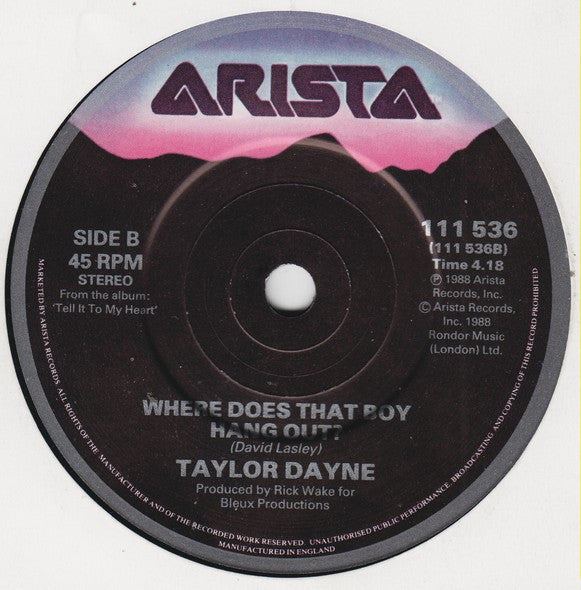 Taylor Dayne - I'll Always Love You - Used Vinyl Record 7" image 4