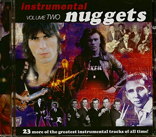 INSTRUMENTAL NUGGETS - VARIOUS ARTISTS - CD image 1