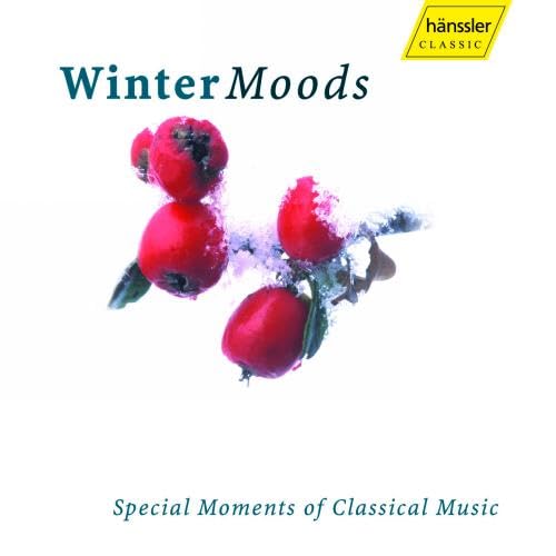 VARIOUS - WINTER MOODS - CD image 1