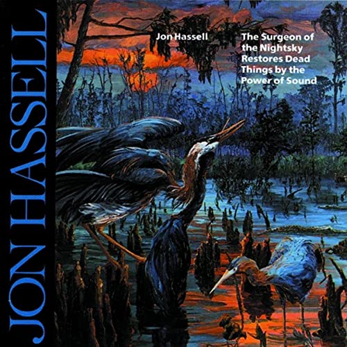 Jon Hassell - Surgeon Of The Nightsky Restores Dead Things By The Power image 1