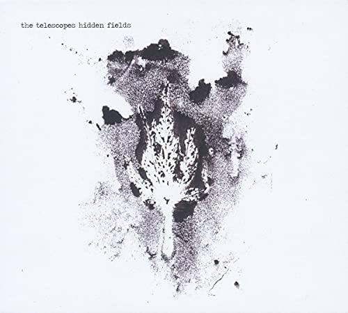 Telescopes - Hidden Fields - Vinyl Record image 1