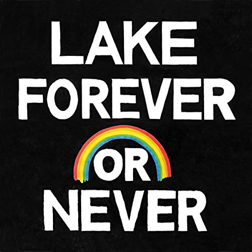Lake - Forever Or Never - Vinyl Record image 1