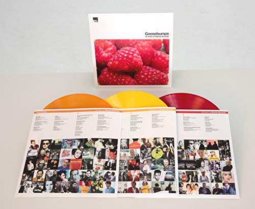 Various - Goosebumps - 25 Years Of Marina Records - Vinyl Record image 3