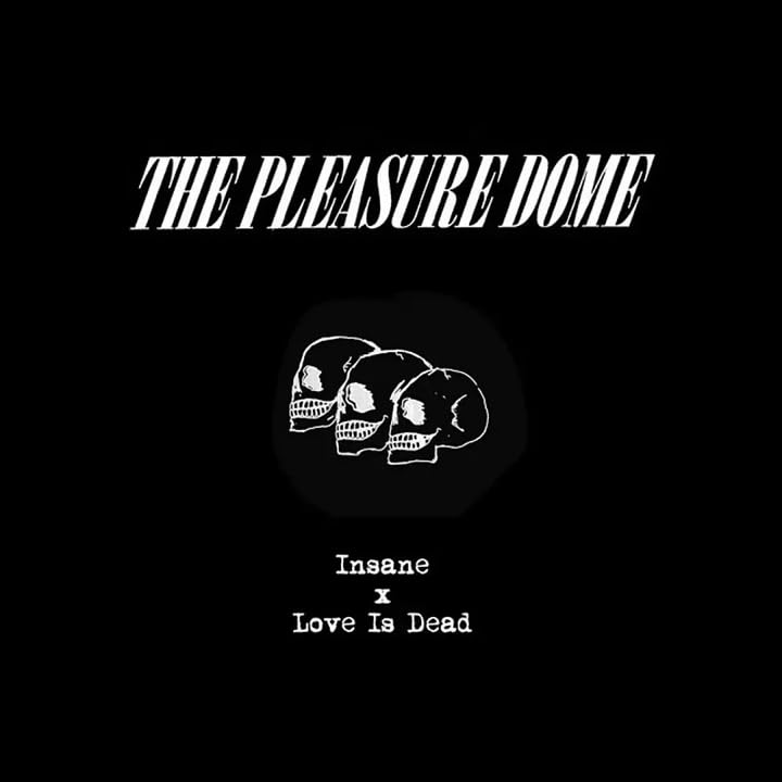 PLEASURE DOME - INSANE/LOVE IS DEAD (LTD) - Vinyl Record 7 image 3
