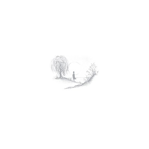 Birds Of Passage - Without The World - Vinyl Record image 1