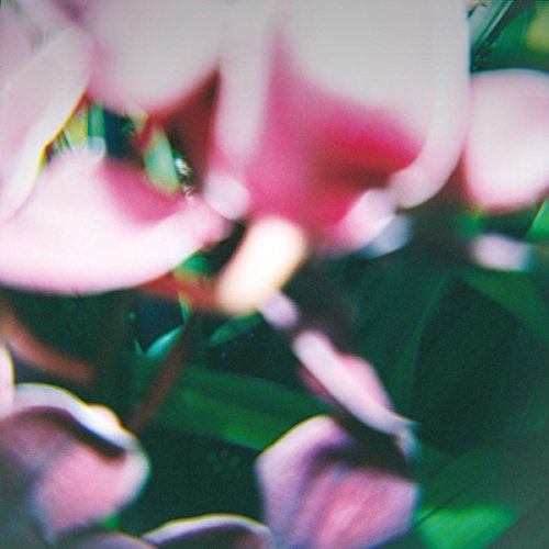 Trade Wind - You Make Everything Disappear - CD image 1