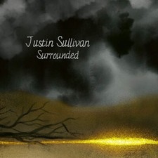 Justin Sullivan - Surrounded - Vinyl Record l.p. set image 1