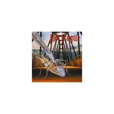 NOT FRAGILE - SCRATCH THE SURFACE - CD image 1