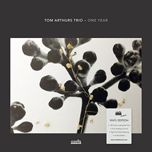 Tom Arthurs Trio - One Year - Vinyl Record image 1
