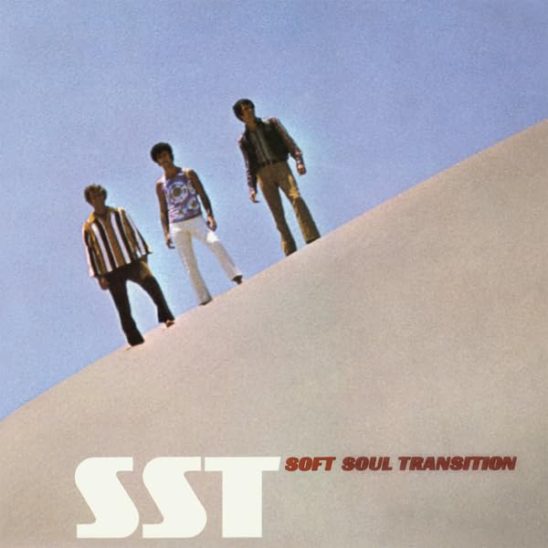 SOFT SOUL TRANSITION - Sst - Vinyl Record image 1