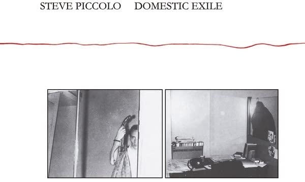 PICCOLO STEVE - DOMESTIC EXILE - CD image 1