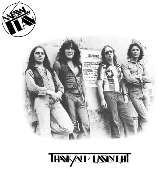NATIONAL FLAG - THANK YOU & GOODBYE - Vinyl Record VINYL image 1