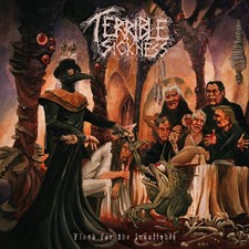 TERRIBLE SICKNESS - FLESH FOR THE INSATIABLE - CD image 1