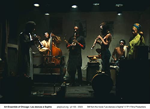 ART ENSEMBLE OF CHIC - LES STANCES A SOPHIE (2LP) - Vinyl Record DLP image 2