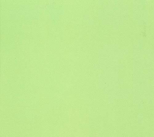 Conrad Schnitzler - Grun - Vinyl Record image 1
