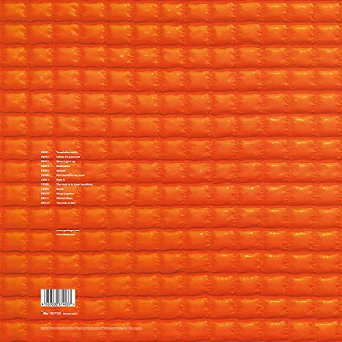 Garbage - Version 2.0 - Vinyl Record VINYL image 3