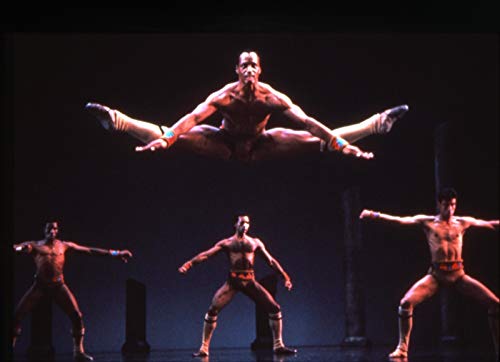 MORTON GOULD / BOB D - DANCE THEATRE OF HARLEM - DVD image 3