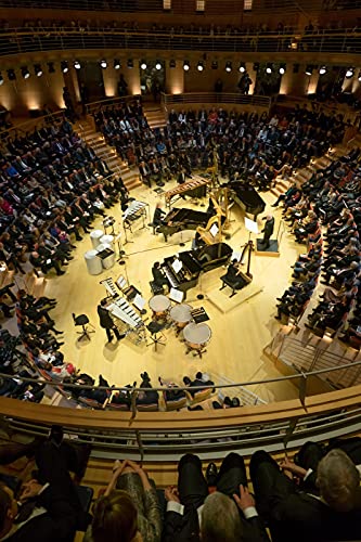 DANIEL BARENBOIM ; Z - DANIEL BARENBOIM OR THE POWER - DVD image 5