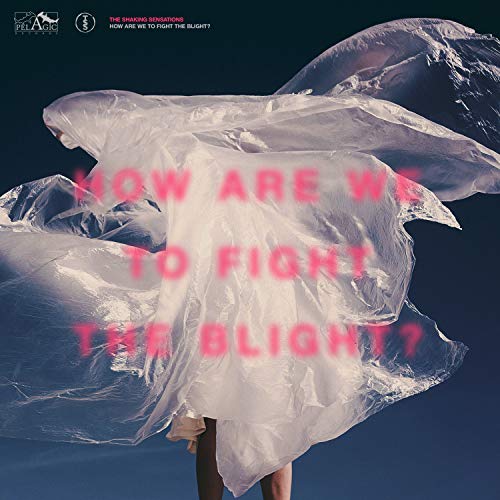 SHAKING SENSATIONS - HOW ARE WE TO FIGHT THE BLIGHT? - Vinyl Record image 2