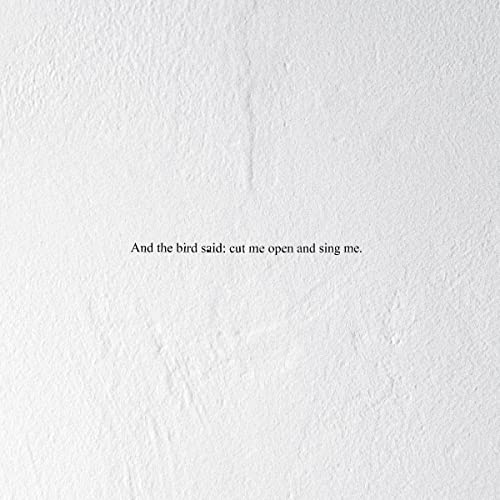 PRAIRIE - AND THE BIRD SAID: CUT ME OPEN AND SING ME - Vinyl Record VL image 1
