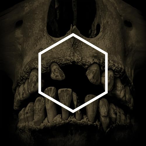 LUSTMORD & VARIOUS A - OTHERS (LUSTMORD DECONSTRUCTED) (3LP) - Vinyl Re image 2