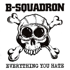 B SQUADRON - EVERYTHING YOU HATE - Vinyl Record image 2