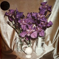 DIVES - WANNA TAKE YOU THERE (LTD MARBLED WHITE VINYL) - LP - Vinyl Rec image 1