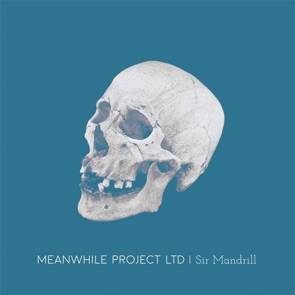 MEANWHILE PROJECT LT - SIR MANDRILL - CD image 2