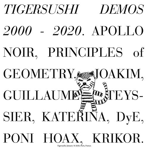 VARIOUS ARTISTS - TIGERSUSHI DEMOS 2000-2020 - Vinyl Record image 1
