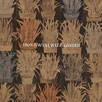 IRON & WINE - WEED GARDEN - Vinyl Record 12" MAXI SINGLE image 1