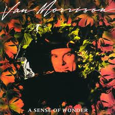 Van Morrison - A Sense Of Wonder - Used Vinyl Record image 1