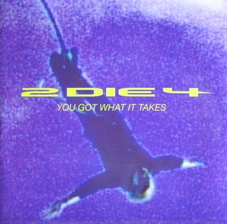 2 Die 4 - You Got What It Takes - Used Vinyl Record 7"