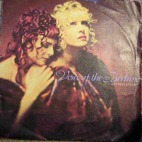 Voice Of The Beehive - Perfect Place - Used Vinyl Record 7" image 1