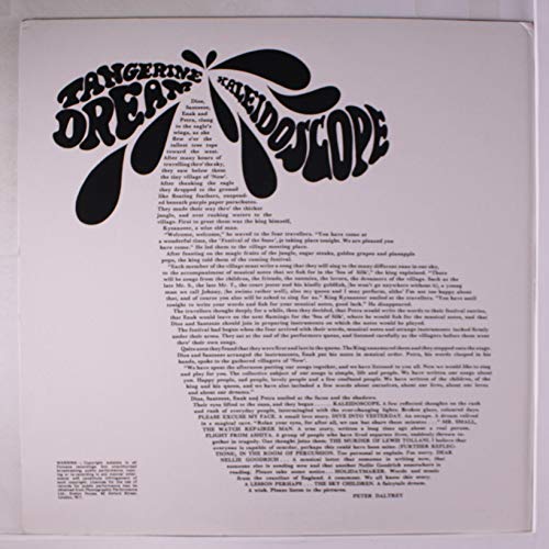 Was (Not Was) - Boy's Gone Crazy - Used Vinyl Record 12" image 2
