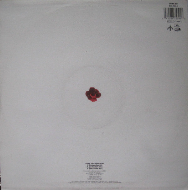 BBG - Some Kind Of Heaven - Used Vinyl Record 12 image 2