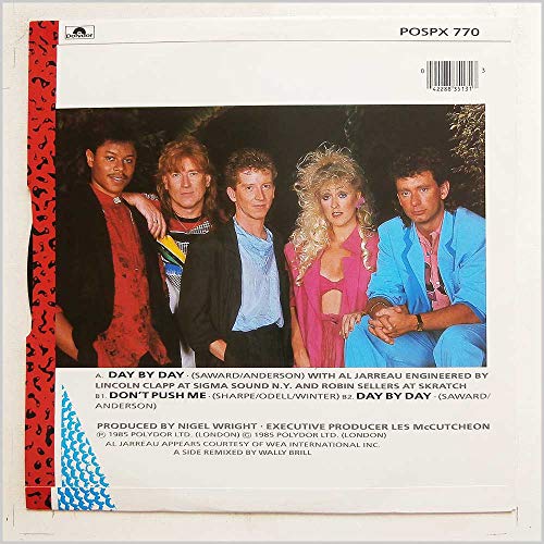 Shakatak - Day By Day - Used Vinyl Record 12" image 2