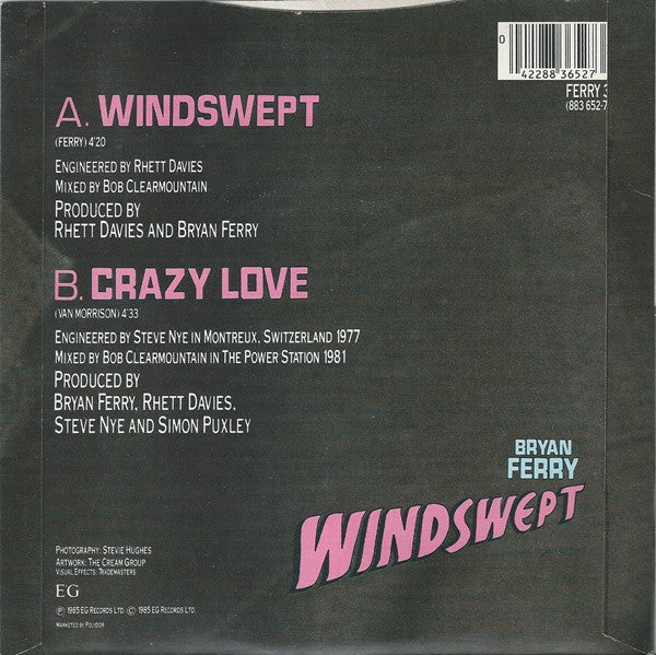 Bryan Ferry - Windswept - Used Vinyl Record 7" image 2