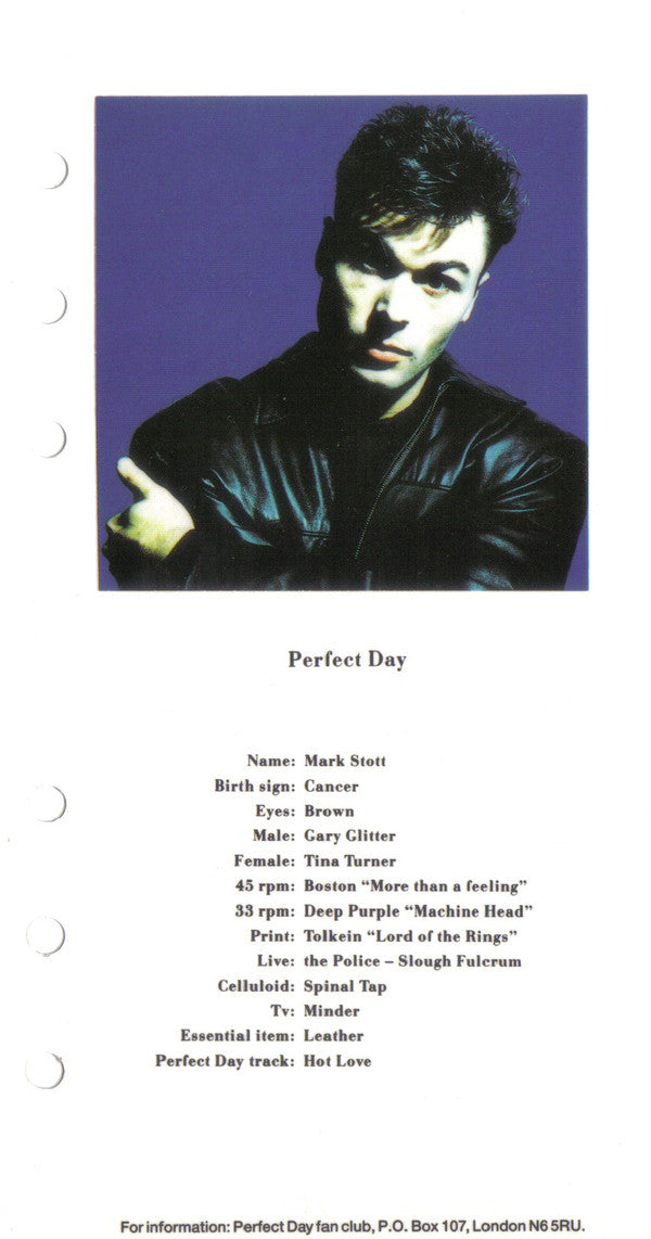 Perfect Day - Jane - Used Vinyl Record 7" image 3